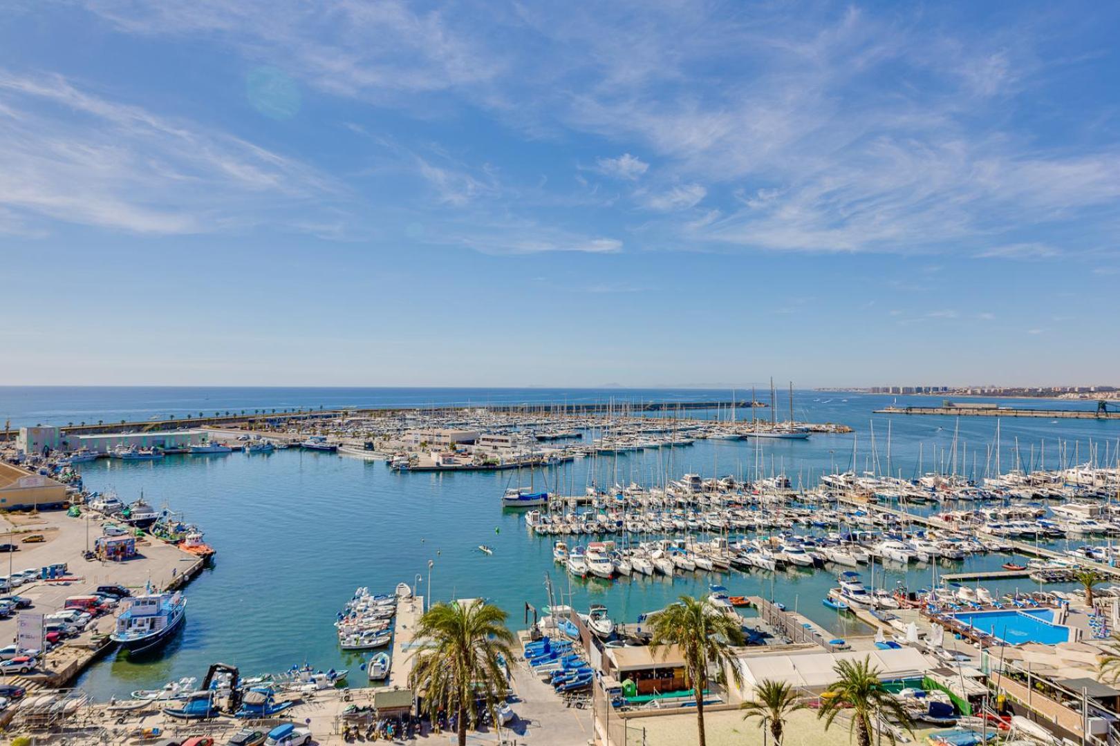 Apartament Apartamento Concordia Torrevieja Zewnętrze zdjęcie