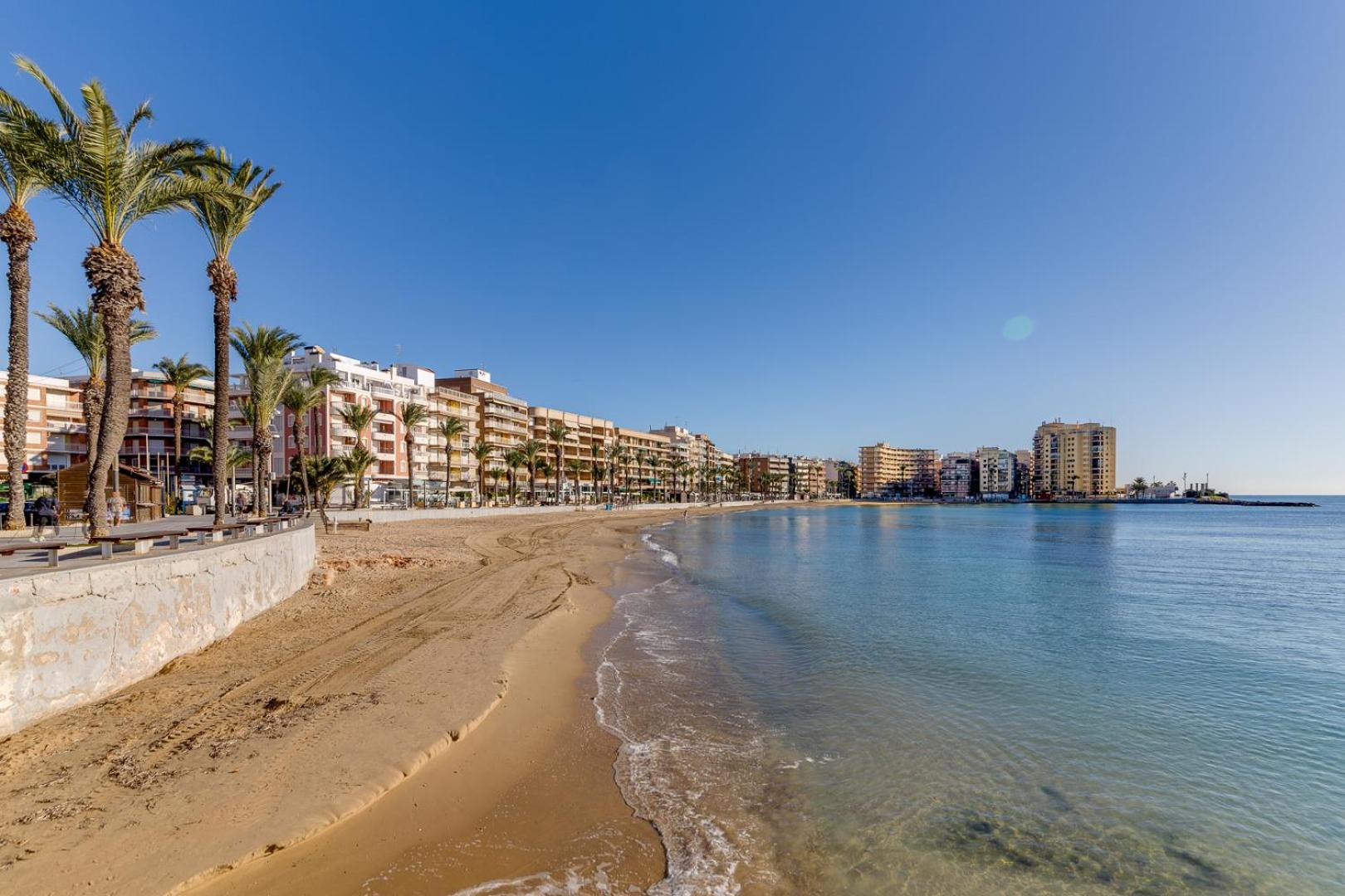 Apartament Apartamento Concordia Torrevieja Zewnętrze zdjęcie