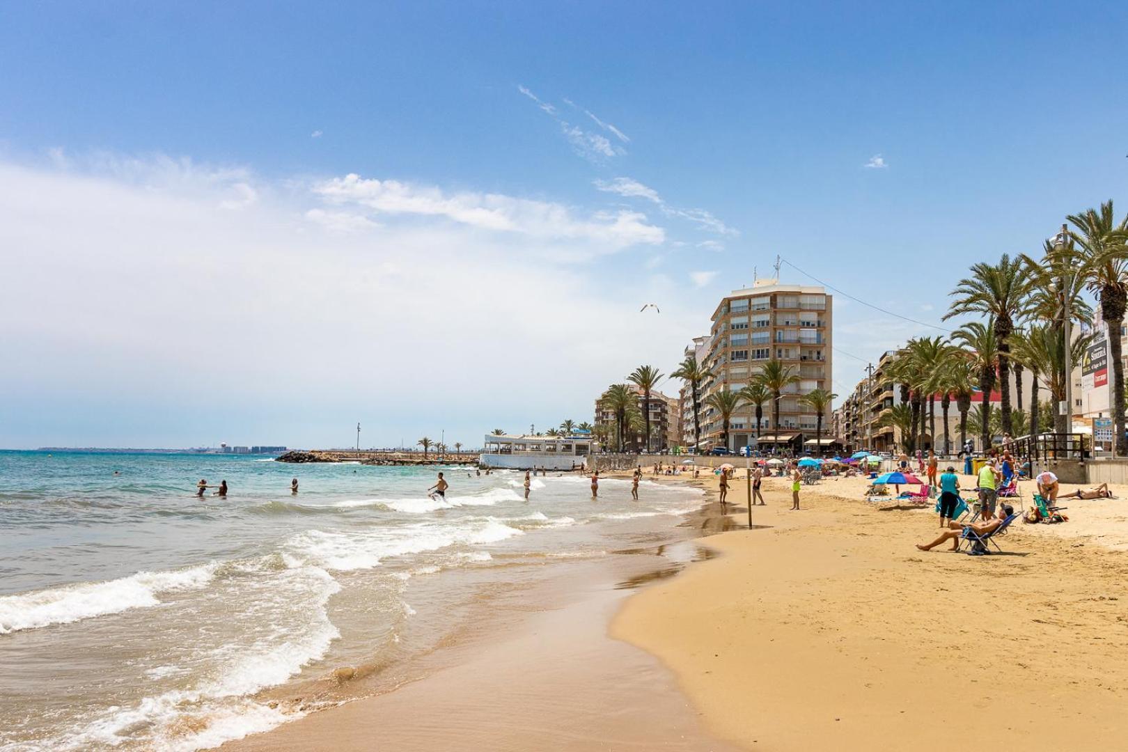 Apartament Apartamento Concordia Torrevieja Zewnętrze zdjęcie