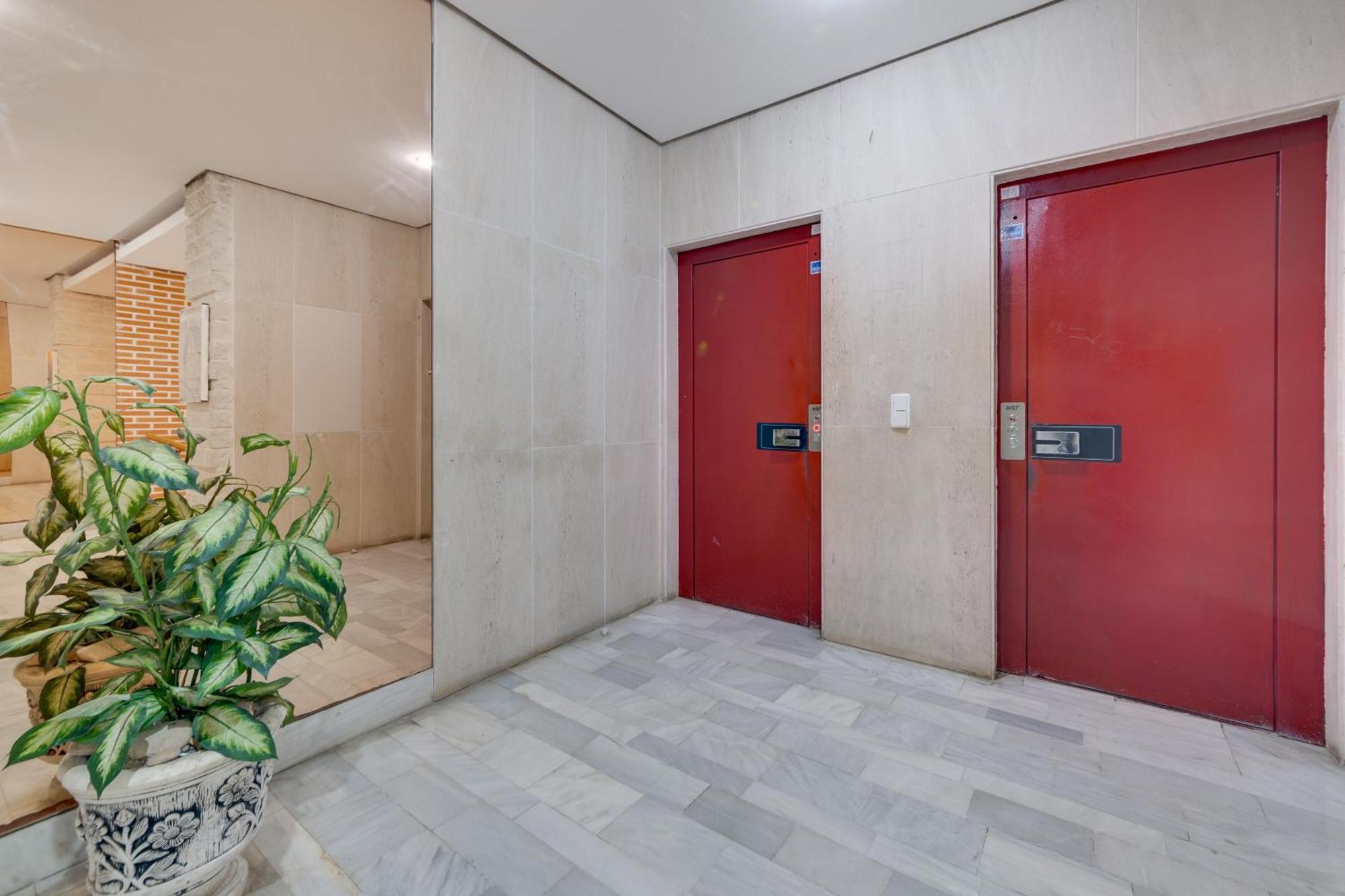 Apartament Apartamento Concordia Torrevieja Zewnętrze zdjęcie