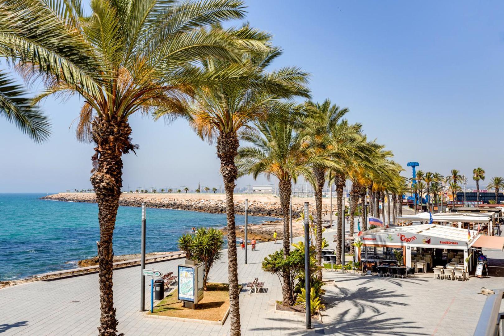 Apartament Apartamento Concordia Torrevieja Zewnętrze zdjęcie