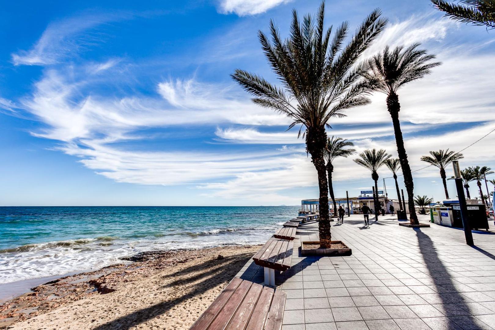 Apartament Apartamento Concordia Torrevieja Zewnętrze zdjęcie