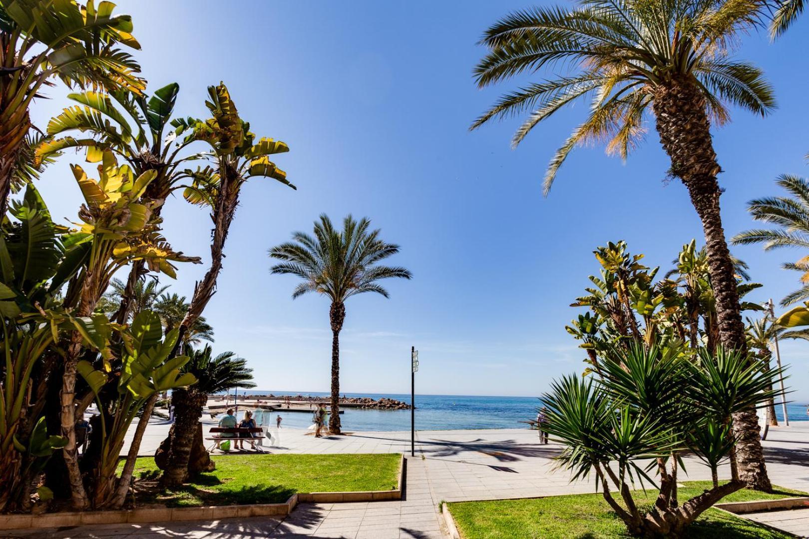 Apartament Apartamento Concordia Torrevieja Zewnętrze zdjęcie